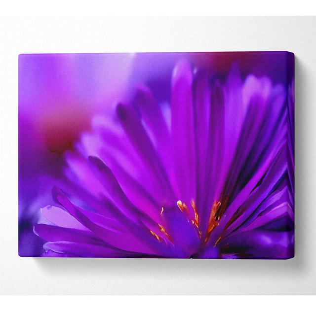 Purple Flower Petals - Wrapped Canvas Art Prints Latitude Run Size: 101.6cm H x 142.2cm W x 10cm D on Productcaster.