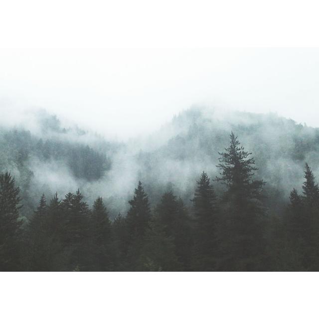 Foggy Mountagreen - Wrapped Canvas Photograph Union Rustic Size: 51cm H x 76cm W on Productcaster.