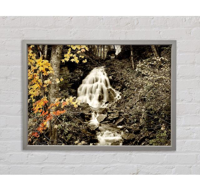 Single Picture Frame Art Prints on Canvas Bright Star Size: 84.1cm H x 118.9cm W x 3.3cm D on Productcaster.