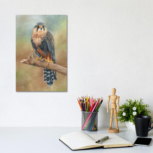 Aplomado Falcon by David Stribbling - Wrapped Canvas Print Rosalind Wheeler Size: 30.48cm H x 20.32cm W on Productcaster.