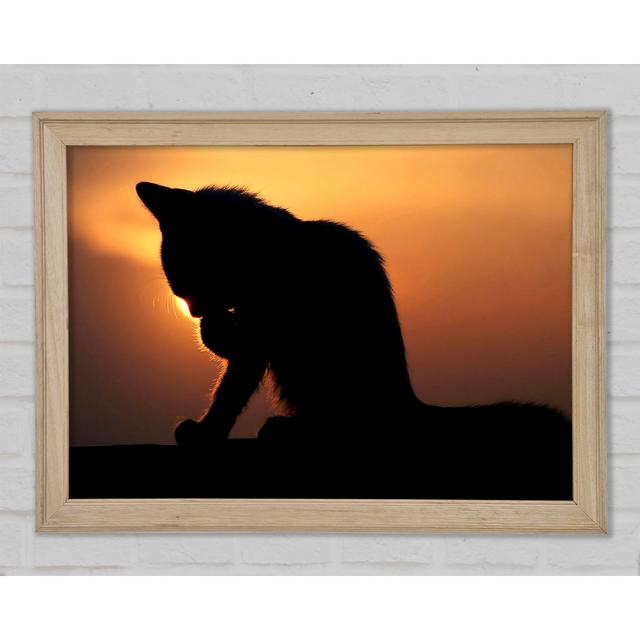 Cat In The Sunset - Single Picture Frame Art Prints Brayden Studio Size: 59.7cm H x 84.1cm W x 1.5cm D on Productcaster.