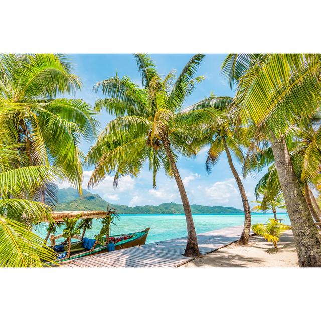 Palm Trees on Bora Bora Island - Wrapped Canvas Photograph Bay Isle Home Size: 81cm H x 122cm W x 3.8cm D on Productcaster.