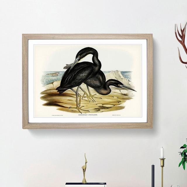 Blue Reef Herons by Elizabeth Gould - Picture Frame Painting Print East Urban Home Frame Option: Oak Framed, Size: 48cm H x 65cm W x 2cm D on Productcaster.