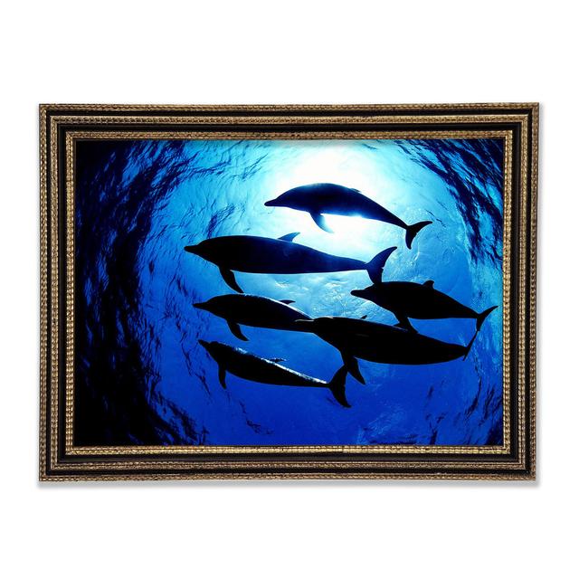 Family Of Dolphins Framed Print Highland Dunes Size: 59.7cm H x 84.1cm W x 3cm D on Productcaster.