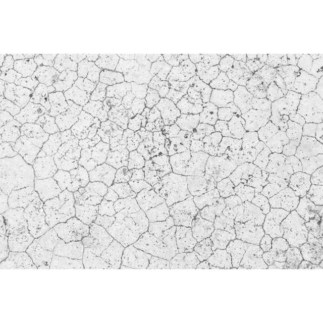 Crack Floor by Wachiwit - Wrapped Canvas Print Natur Pur Size: 30cm H x 46cm W on Productcaster.