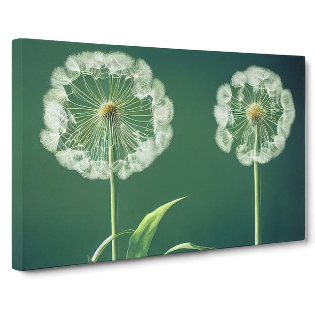 Inspiring Dandelion Flowers - Wrapped Canvas Graphic Art ClassicLiving Size: 35cm H x 50cm W x 3cm D on Productcaster.