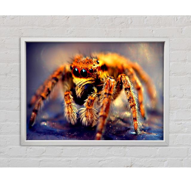 Spider Close-up - Single Picture Frame Art Prints on Canvas Bright Star Size: 84.1cm H x 118.9cm W x 3.3cm D on Productcaster.