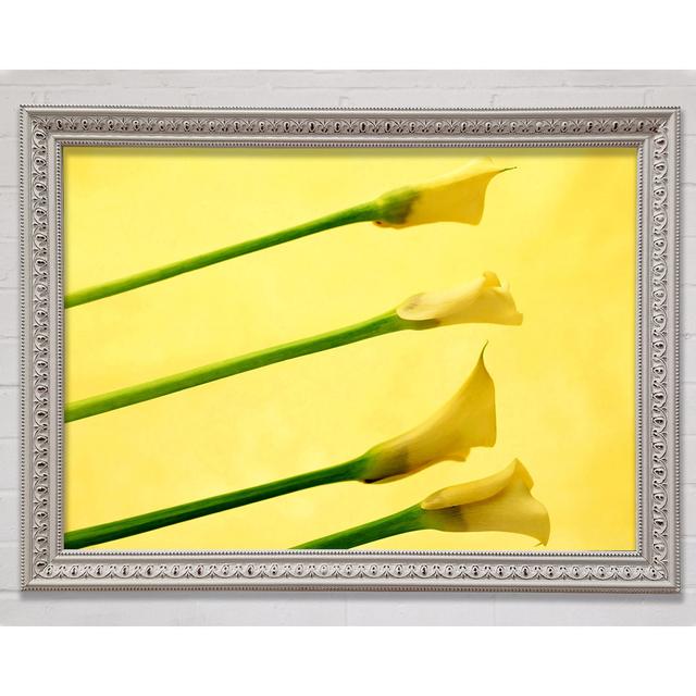 Yellow Trumpet Flowers Framed Print Ebern Designs Format: White Framed Paper, Size: 29.7cm H x 42cm W x 3cm D on Productcaster.