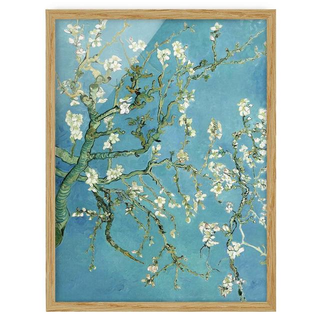 Almond Blossom by Vincent Van Gogh - Picture Frame Painting Rosalind Wheeler Frame Option: Brown Framed, Size: 55cm H x 40cm W x 2cm D on Productcaster.