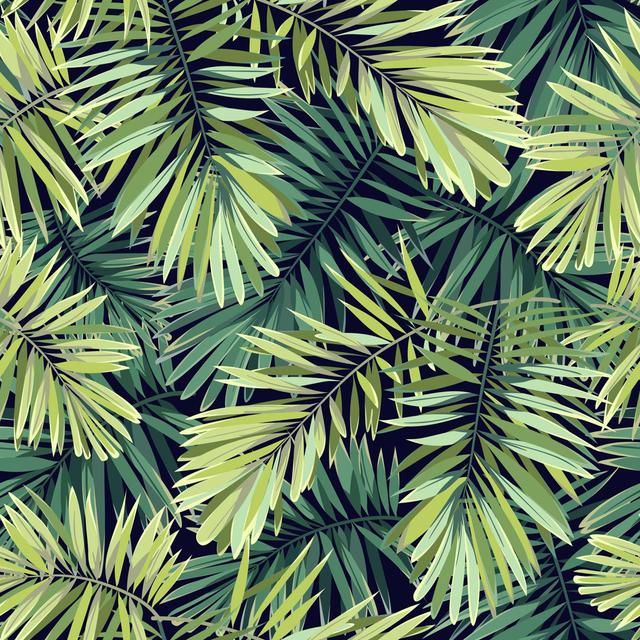 Phoenix Palm Leaves 17 Stories Size: 76cm H x 76cm W x 3.8cm D on Productcaster.