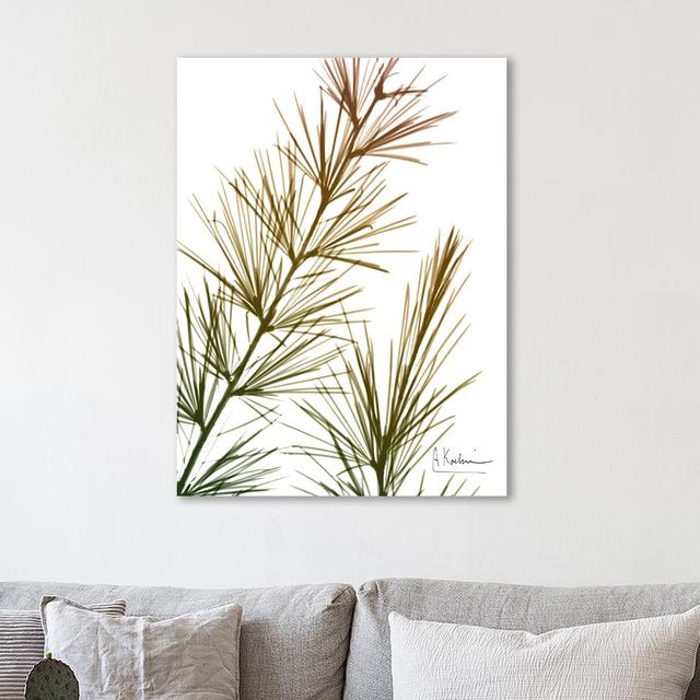 Autumn Sequoia - Wrapped Canvas Graphic Art Print East Urban Home Size: 81 cm H x 61 cm W on Productcaster.