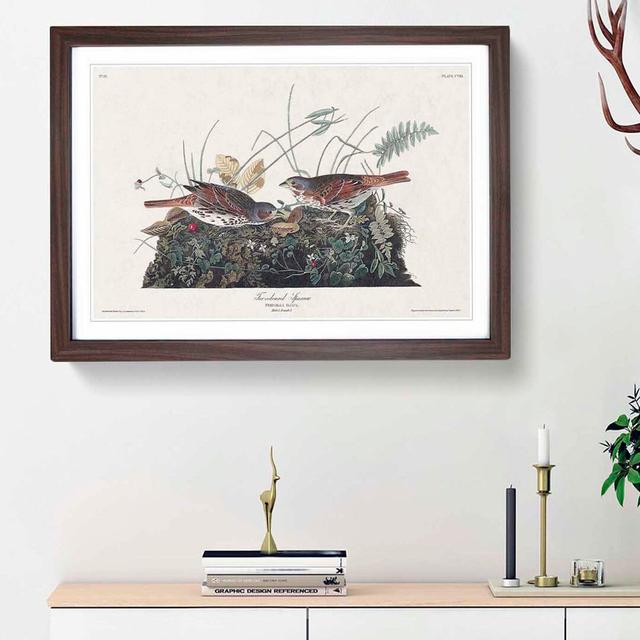 Fox-Coloured Sparrow by John Audubon - Picture Frame Painting Print East Urban Home Frame Option: Walnut Framed, Size: 27cm H x 36cm W x 2cm D on Productcaster.