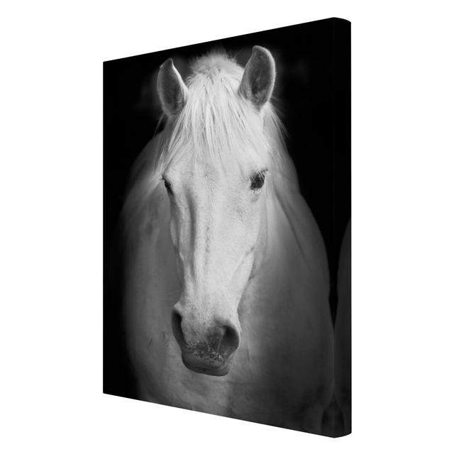 Dream of a Horse - Wrapped Canvas Graphic Art Print East Urban Home Size: 90cm H x 60cm W x 2cm D on Productcaster.