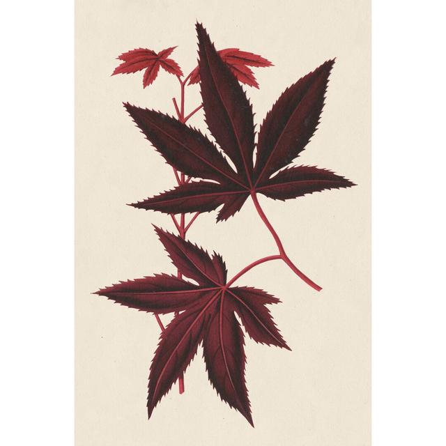 Japanese Maple Leaves I by Stroobant - Wrapped Canvas Painting Rosalind Wheeler Size: 76cm H x 51cm W on Productcaster.