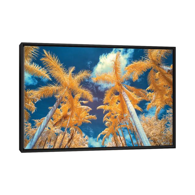 Palm Tree I by Glauco Meneghelli - Floater Frame Gallery-Wrapped Canvas Giclée on Canvas 17 Stories on Productcaster.