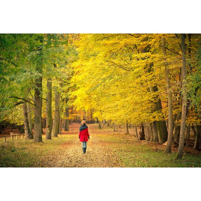 Walking in Autumn Park by Sborisov - Wrapped Canvas Photograph 17 Stories Size: 61cm H x 91cm W on Productcaster.