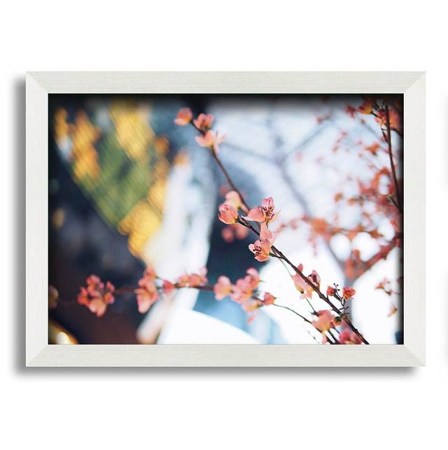 Cherry Blossum in Focus - Single Picture Frame Art Prints Latitude Run Size: 29.7cm H x 42cm W x 10cm D on Productcaster.