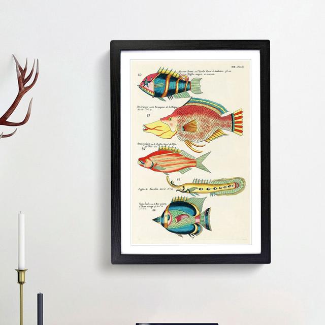 East Indies Fish Illustrations XVII by Louis Renard - Picture Frame Graphic Art Print East Urban Home Size: 48cm H x 36cm W x 2cm D, Frame Option: Bla on Productcaster.