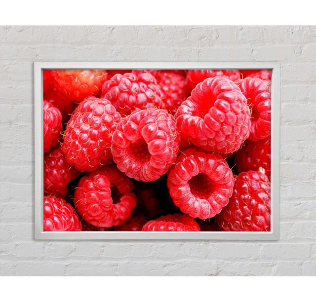 Raspberry Delight - Print Bright Star Size: 100cm H x 141.4cm W x 3.3cm D on Productcaster.