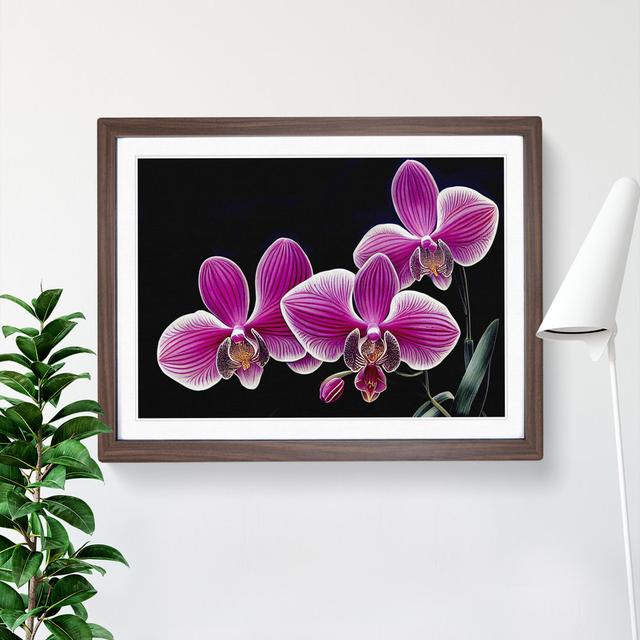 Stunning Orchid Flowers - Single Picture Frame Print 17 Stories Size: 25cm H x 34cm W x 2cm D, Frame Colour: Walnut on Productcaster.