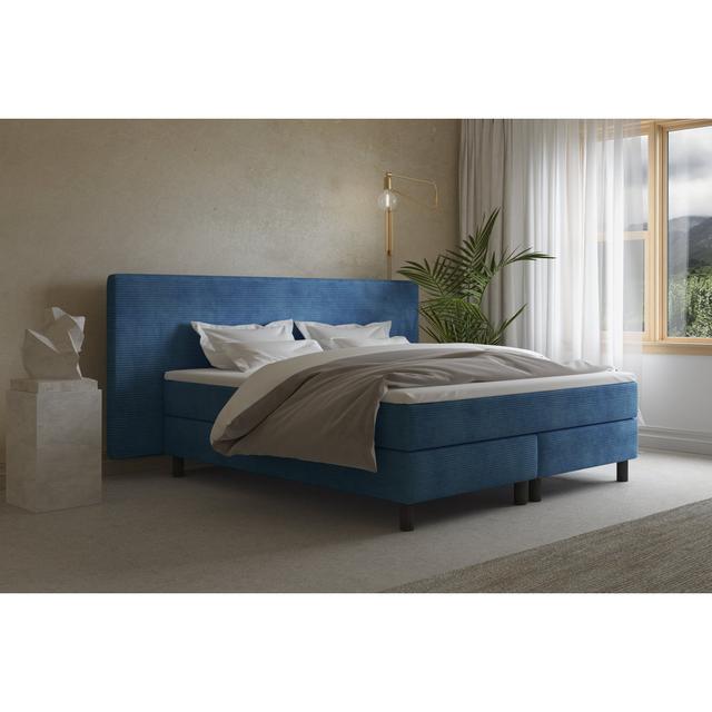 Echtes Boxspringbett Donatella mit Kaltschaum Topper, mit Cord Stoff bezogen Soft & Co. Matratzenhärte: H2 - bis etwa 75 kg, Farbe: Dunkles Azurblau, on Productcaster.