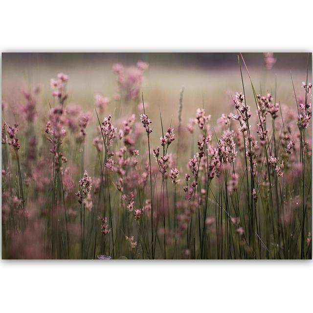 Leinwandbild Pink Flower Field ModernMoments Größe: 40 cm H x 60 cm B x 3 cm T on Productcaster.