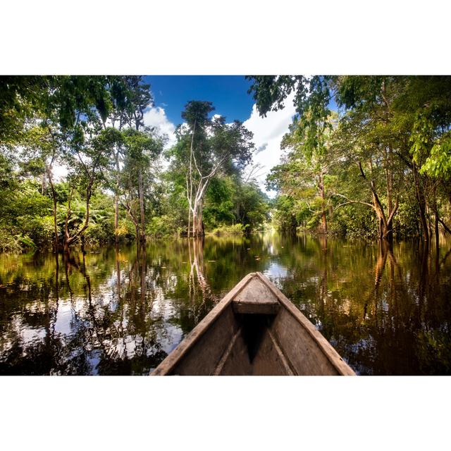 Flooded Forest in Leticia by Alfnqn - Wrapped Canvas Photograph 17 Stories Size: 30cm H x 46cm W on Productcaster.