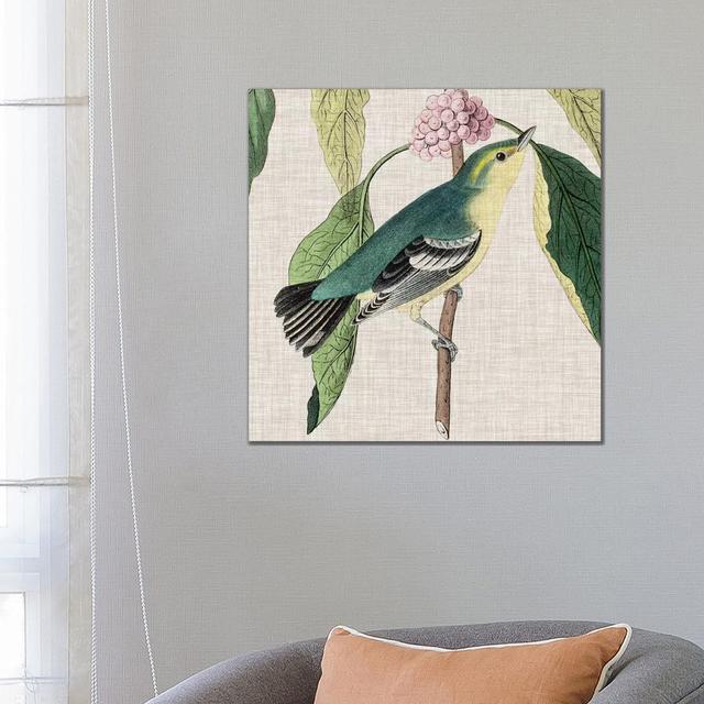 Avian Crop IV by John James Audubon - Wrapped Canvas Painting 17 Stories Size: 66.04cm H x 66.04cm W x 3.81cm D on Productcaster.