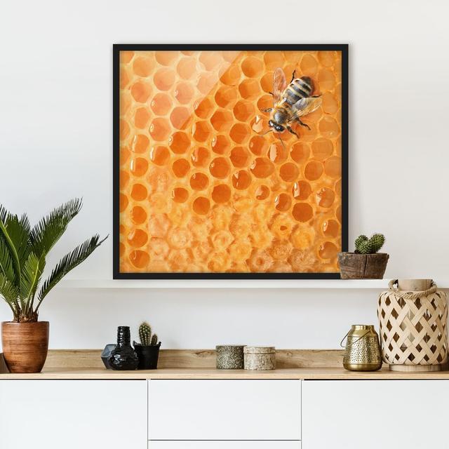 Honey Bee - Picture Frame Graphic Art August Grove Frame Option: Black Framed, Size: 50cm H x 50cm W x 2cm D on Productcaster.