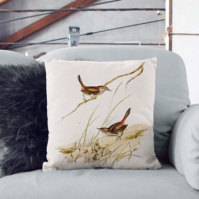 Cautious Wren by Elizabeth Gould Cushion with Filling East Urban Home Size: 55cm H x 55cm W x 20cm D, Backing Colour: Black on Productcaster.