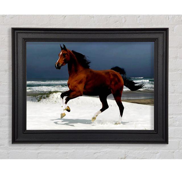 Single Picture Frame Art Prints Gracie Oaks Size: 42cm H x 59.7cm W on Productcaster.