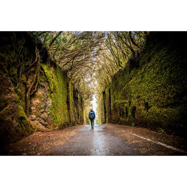 Woman Exploring Green Laurel Forest Tunnel Road by AlenaPaulus - No Frame Art Prints on Canvas Alpen Home Size: 20cm H x 30cm W on Productcaster.