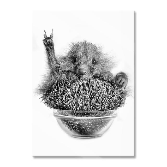 Peace Hedgehog in a Bowl - Photograph Unframed on Glass Happy Larry Size: 100cm H x 70cm W x 0.4cm D on Productcaster.