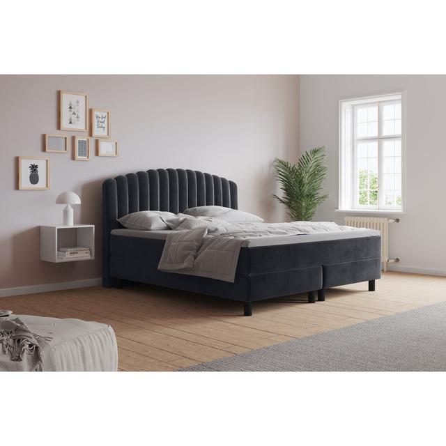 Echtes Boxspringbett Adinath mit Kaltschaum Topper, mit Samtstoff bezogen Canora Grey Farbe: Fernblau, Matratzenhärte: H4 - ab etwa 100 kg, Größe: 160 on Productcaster.