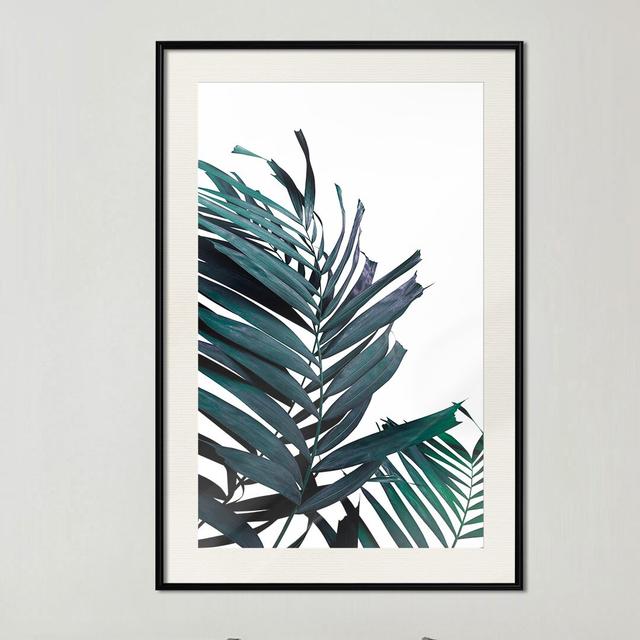 Gerahmtes Poster Evergreen Palm Leaves Sansibar Home Rahmenauswahl: Mattschwarzer Rahmen, Größe: 45 cm H x 30 cm B x 1,5 cm T on Productcaster.