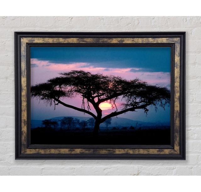 East African Sunset - Single Picture Frame Art Prints Bright Star Size: 29.7cm H x 42cm W x 8cm D on Productcaster.