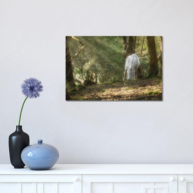 Mystical Pony by David Gardiner - Picture Frame Photograph on Canvas August Grove Size: 30.48cm H x 45.72cm W on Productcaster.