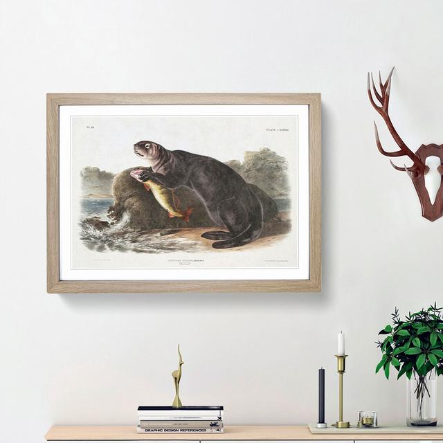 Sea Otter by J.W. Audubon - Picture Frame Painting Print on MDF East Urban Home Size: 48cm H x 65cm W x 2cm D, Frame Option: Oak Framed on Productcaster.