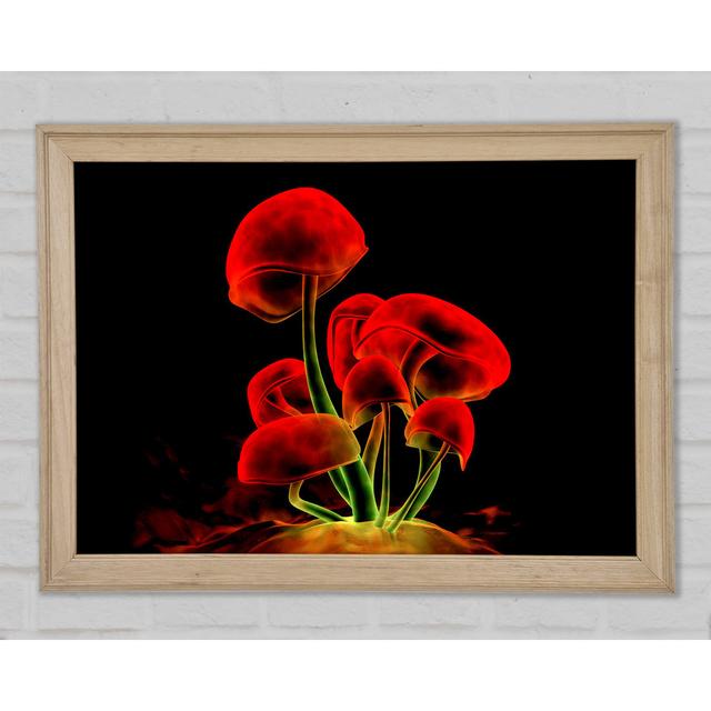 Red Magic Mushrooms Framed Print Ivy Bronx Size: 84.1cm H x 118.9cm W x 1.5cm D on Productcaster.