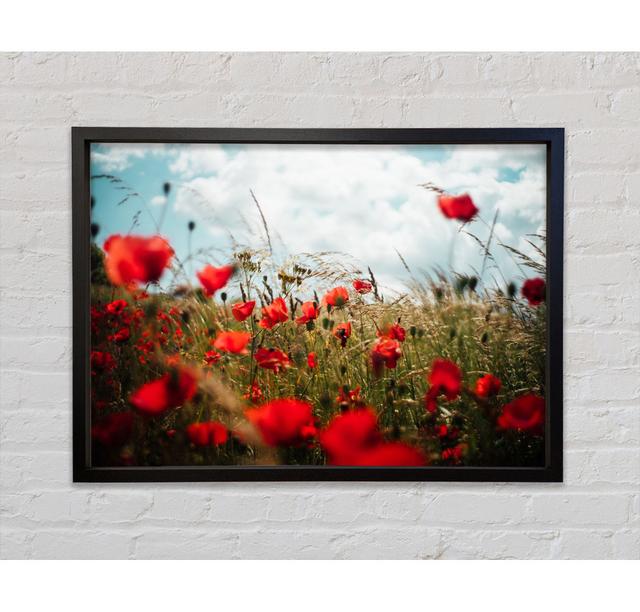 Red Poppies Reaching The Sky Framed Print Bright Star Size: 100cm H x 141.4cm W on Productcaster.