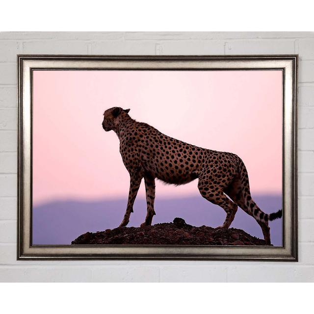 Cheetah Habitat - Single Picture Frame Art Prints Ebern Designs Size: 29.7cm H x 42cm W on Productcaster.