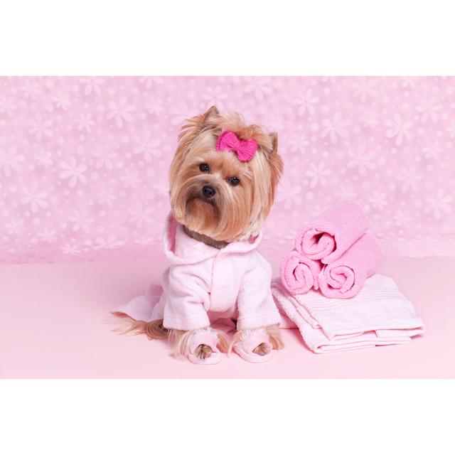 Yorkshire Terrier In A Pink Bathrobe And Slippers At The Grooming Salon Spa - Wrapped Canvas Print Ebern Designs Size: 81cm H x 122cm W on Productcaster.