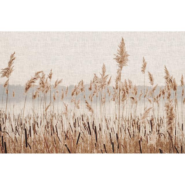 Dried Pampass Grass Graphic Art Brambly Cottage Size: 64.4cm H x 84.4cm W x 1cm D, Format: Natural Oak Framed on Productcaster.