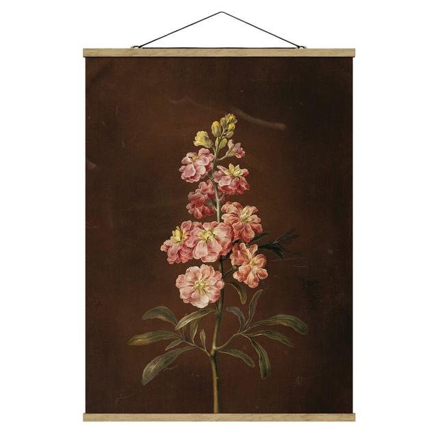 A Pink Garden Levkkoje by Barbara Regina Dietzsch - Graphic Art Print Rosalind Wheeler Size: 133.5cm H x 100cm W x 0.3cm D on Productcaster.