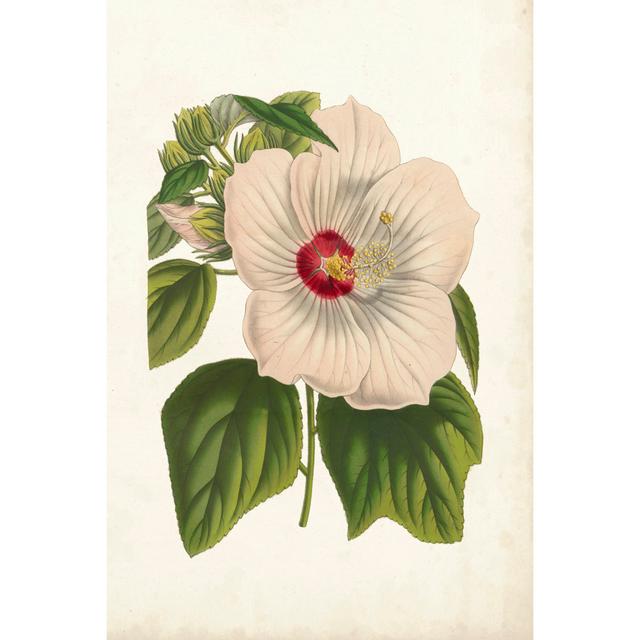 Striking Hibiscus - Wrapped Canvas Art Prints Marlow Home Co. Size: 46cm H x 30cm W x 3.8cm D on Productcaster.