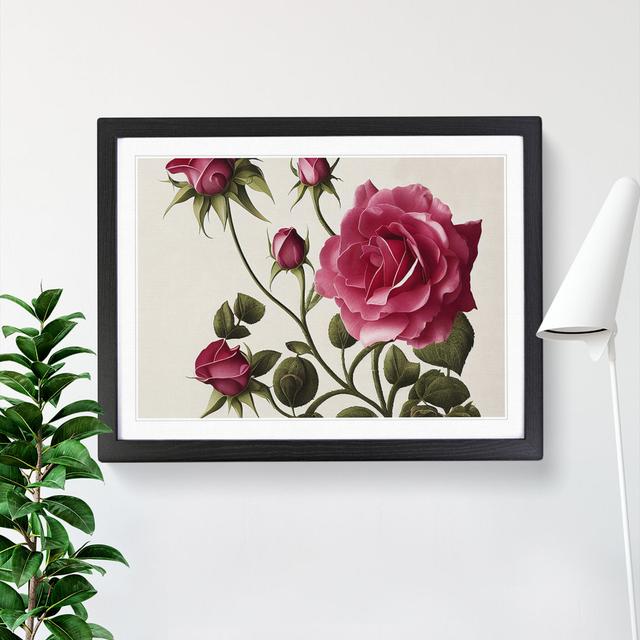 Bold Rose Flowers - Single Picture Frame Painting Marlow Home Co. Frame Colour: Black Framed, Size: 25cm H x 34cm W x 2cm D on Productcaster.