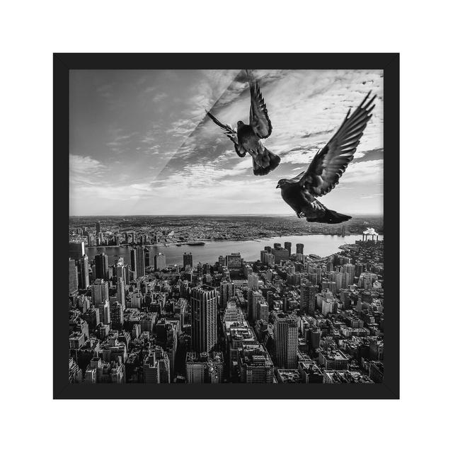 Pigeons on the Empire State Building - Picture Frame Photograph Ebern Designs Frame Option: Black Framed, Size: 50cm H x 50cm W x 2cm D on Productcaster.