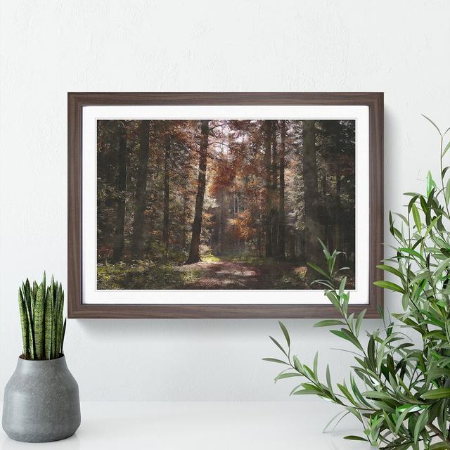 Autumn Forest Vol.4 - Picture Frame Graphic Art East Urban Home Size: 36cm H x 48cm W x 2cm D, Frame Option: Walnut Framed on Productcaster.