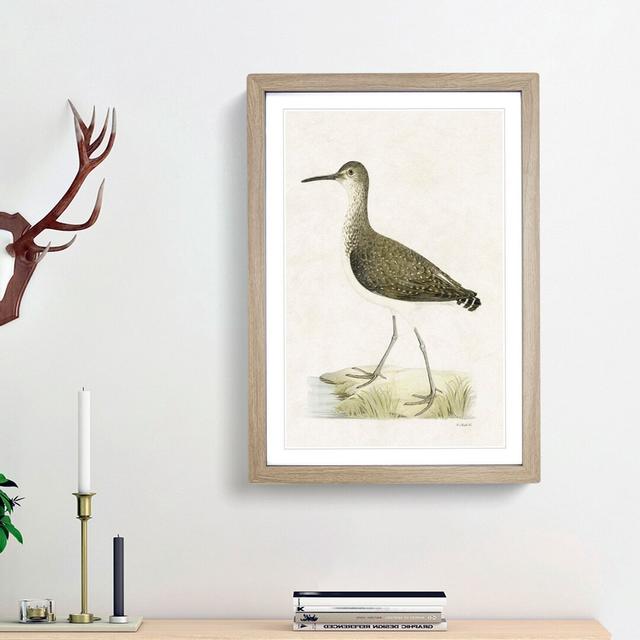 Green Sandpiper by Von Wright - Picture Frame Painting Print East Urban Home Frame Option: Oak Framed, Size: 87cm H x 62cm W x 2cm D on Productcaster.