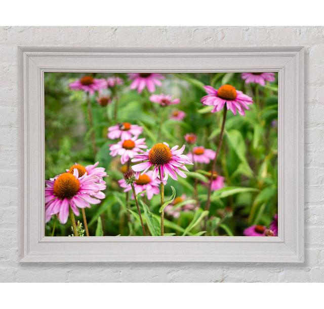 Pink Flowers Down Below In The Grass - Single Picture Frame Art Prints Ebern Designs Size: 42cm H x 59.7cm W x 8cm D on Productcaster.